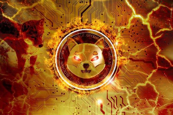 Shiba inu coin: ¿cómo comprar criptomonedas en Chile?