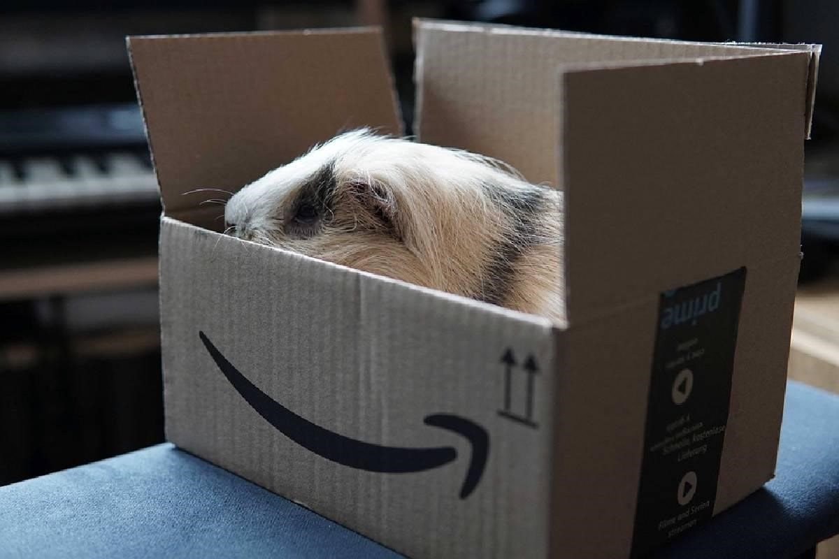La característica caja de entrega de Amazon con su logo. 