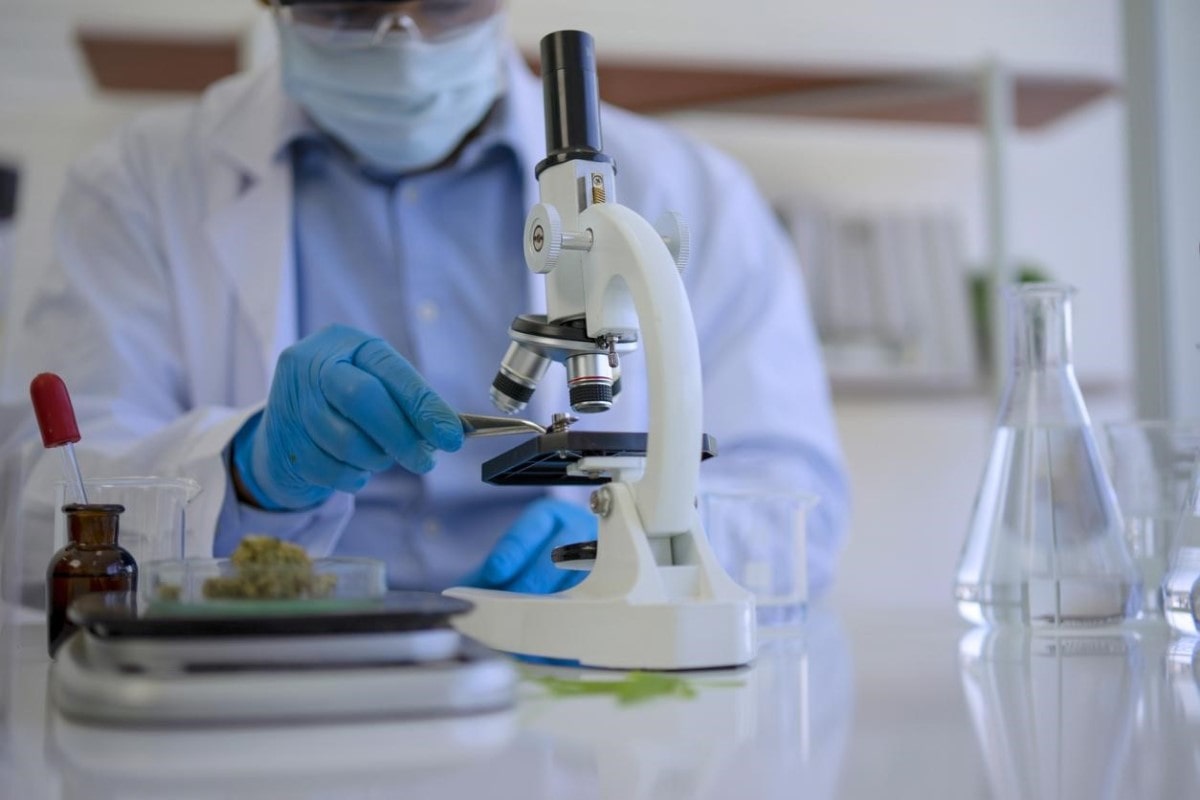 Científico trabaja en un laboratorio con cannabis. Descubre cómo beneficiarte con las acciones de Tilray Inc, líder de la industria.