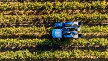  ¿Por qué invertir en la agricultura en Chile?