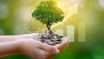 Monedas debajo de un árbol y gráficos de tendencia. Descubre qué es el capital natural.