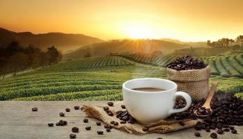 Coffee makes the world go round