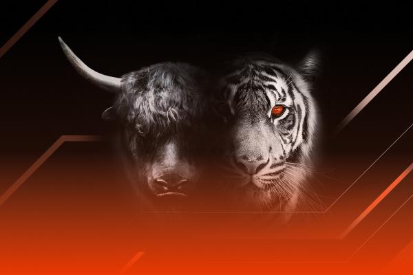 2021 Roundup and 2022 Forecasts