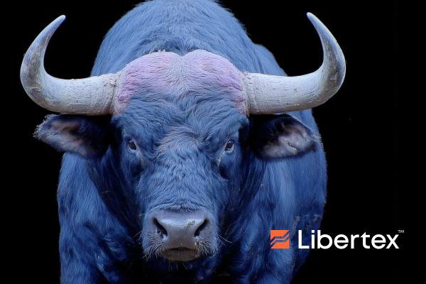 Stocks Back in the Spotlight After Achieving New ATHs