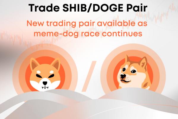shib-doge-cfd